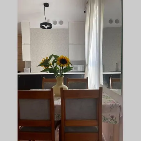 Seagull 30m2 Apartament Hel