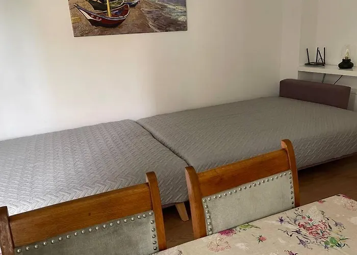 Seagull 30m2 * Хель